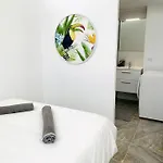Amigo *