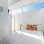 Amigo *